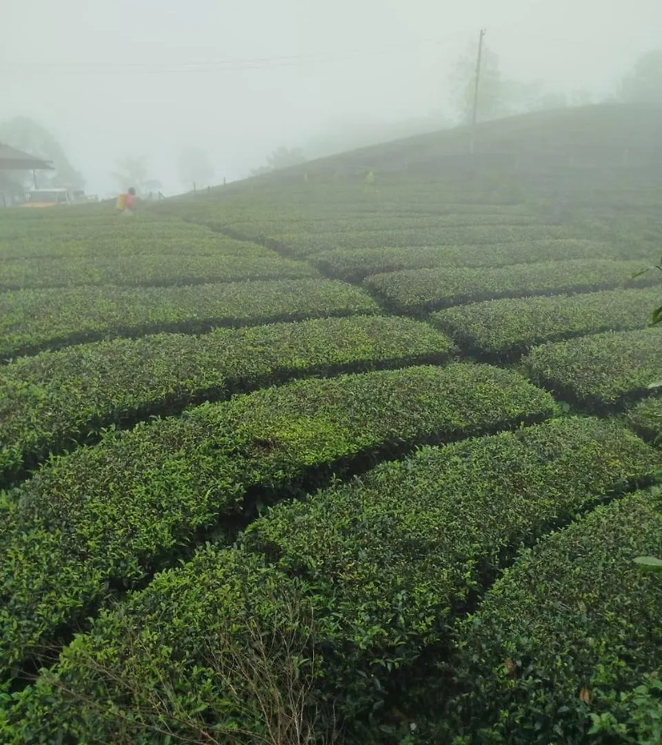 Accommodatie bij particulieren Vagamon Springs Appartement India