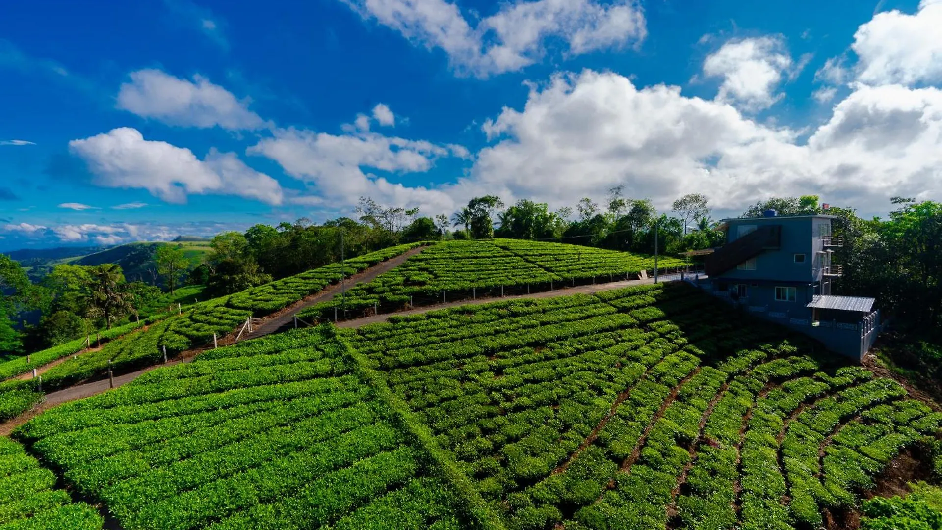 Vagamon Springs Appartement 0*,  India