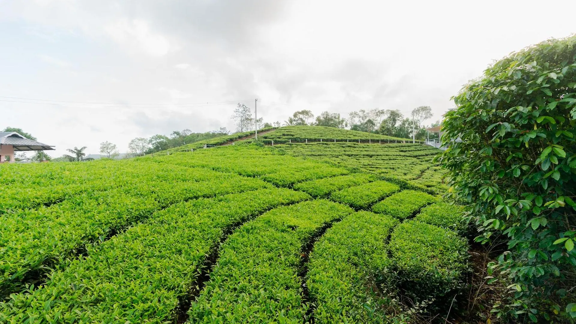 Accommodatie bij particulieren Vagamon Springs Appartement